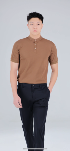 HUILISHI Premium Version Chinese Collar Polo Shirt for Men Plain Short Sleeve Korean Style Cotton Fabric Regular Fitting Polo Tops