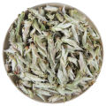 Bạch Trà Đuôi Rồng Cổ Thụ (Túi Hút Chân Không 50 Gram Dùng Thử). 