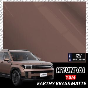 [ HYUNDAI SANTA FE GEN 5 ] Touch Up Paint Color CW Aikka Aerosol DIY Cat Spray Bottle 370ml 补漆 Cat Kereta Hyundai Ori
