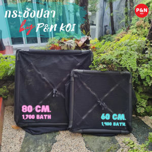 กระชังเลี้ยงปลาคาร์ฟ