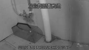 捕鼠器家用全自动连续抓老鼠神器高效捉老鼠笼夹一窝端灭耗子克星