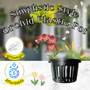 [P100] - Simplistic Style Orchid Plastic Pot Air-Boost Orchid Pot Clear Plastic with Extra Drainage