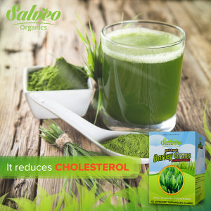 SALVEO BARLEY GRASS (1BOX/70capsules) 100% organic 500mg food supplement provide  THE BEST ORGANIC FOOD SUPPLEMENT essential nutrients rich in vitamins and minerals The Miracle Food  Wellness This supplement contains vitamins A B1 32 312 K.