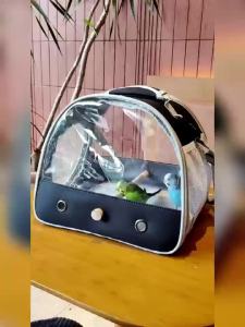 Bird Carrier Portable Small Bird Parrot Parakeet Carrier with Standing Perch and Stainless Steel Tray Side Access Window Collapsible (Black Clear Windows)