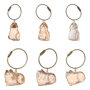 Rõ Ràng Mèo Theo Chủ Đề Lưu Trữ Hộp Compactly Tóc Collector Nhiều Mục Đích Trang Trí Chủ Keyring