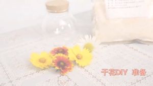 500g Silica Gel Powder Reusable Fresh Flower Preservative Desiccant for Dry Flower Drying Preserve DIY Craft Supplies