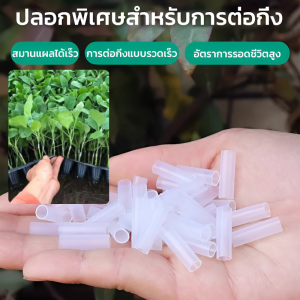 อัตราการรอดชีวิตของการเชื่อมต่อ สายรัดข้อต่อ สายรัดต้นกล้า ป้องกันการรั่วซึม ช่างทําสวน กันน้ำ การย้ายปลูกทําได้รวดเร็วและสะดวก แขนซิลิโคน กิ่งไม้ร่วงและฤดูหนาวของแตงโม โปร่งใส ขนาดปรับได้ มั่นคง