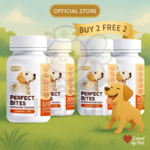 Fast Delivery | BIG PAW Supplement For Dog 100 tablets - Ready Stock