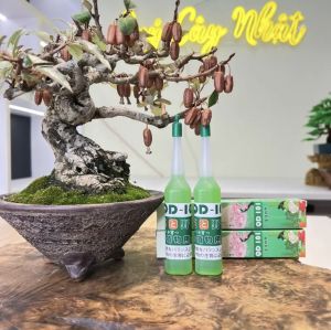 [ Mua 3 Tặng 1 ] QD 101 Nhật Bản bổ sung dinh dưỡng cho cây kích thích ra hoa quả