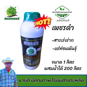 แช่ท่อนพันธุ์ เร่งราก เร่งแตกยอด แตกใบใหม่ ตราเพชรดำ เร่งราก ขนาด 1 ลิตร ขวดใหญ่