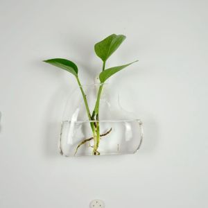 【Deal of the day】 Hot Hanging glass vase glass terrarium vase for hydroponics garden