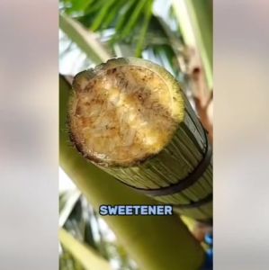 SOKFARM Organic Coconut Flower Sugar 300g Low GI Coconut Sugar