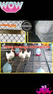 Jaring Ayam 15 Meter x 25 Meter Jaring Pagar Ayam Jaring Kandang Jaring Bebek