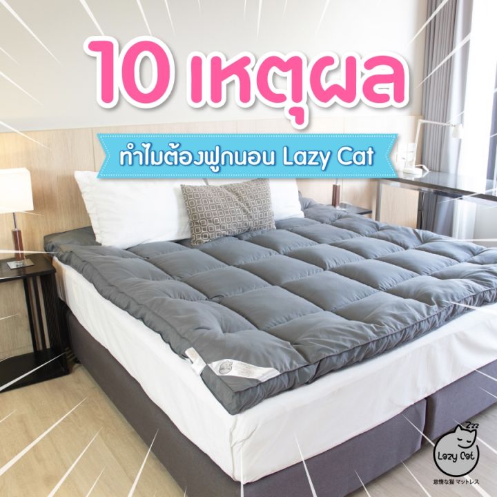 ท็อปเปอร์ Topper [ Lazy Cat ] รุ่น 2-in-1 หนานุ่ม ((..ส่งฟรี ..)) ที่นอ ...