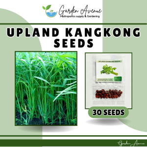 SULIT PACK! Upland/Lowland Kangkong Seeds (30pcs seeds)