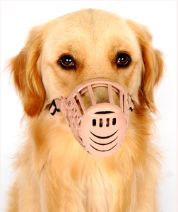 Comfortable Adjustable Muzzle: A Guide to Pet Dog Mouth Sets