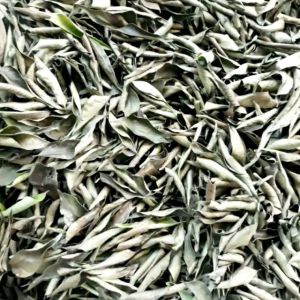 Daun kari kering | korokeling | ruku-ruku | salam koja | temurui