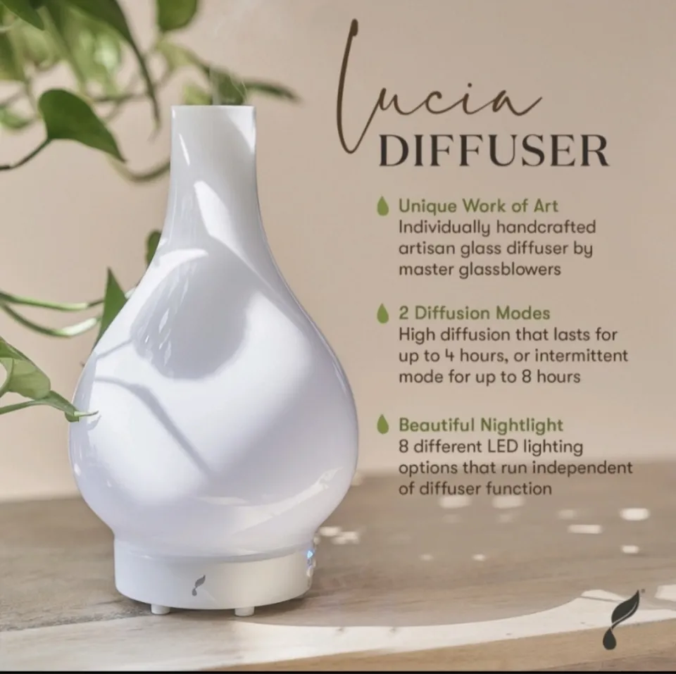 Young Living Artisan Diffuser 2個セット 新品 Young Living Artisan