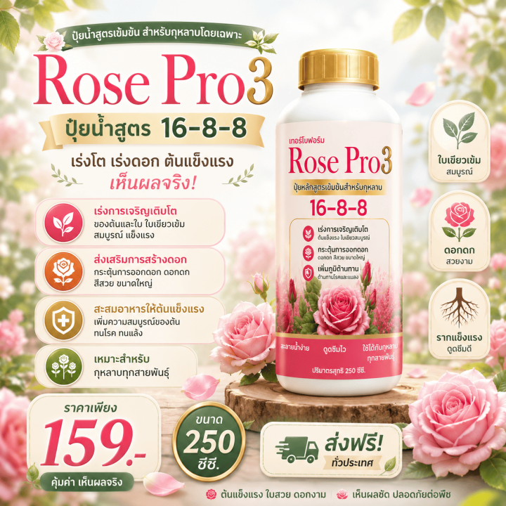 ปุ๋ยน้ำสูตร 16-8-8 Rose Pro3 สำหรับกุหลาบ เร่งดอก