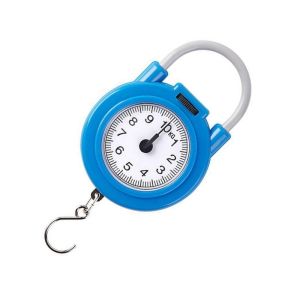 Handheld Scale High Accuracy Portable Kitchen Spring Scale Hanging Scale Small Scale for Home Use