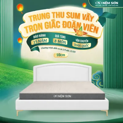 Nệm Cao Su Premium Nệm Sơn 10cm - Lõi Foam Kết Hợp Cao Su Nguyên Khối Cao Cấp