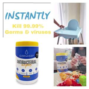 (EXP: AUG 2026) Germisep Antibacterial Wipes Canister 100s