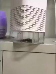 New Electric Fly Trap USB-Powered Mosquito Trap with Suction Mosquito Zapper for Home Indoor Outdoor