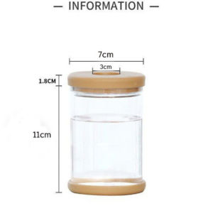 Hydroponic Pot Transparent Water Planting Vase Propagation Pots for Plants Indoor Aquaponic Planter Vase