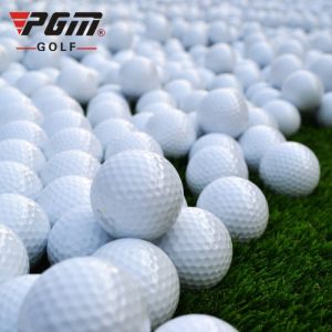 PGM 20 Balls High Quality Two Layer White Golf Training Ball Hardness 80 To 90 for Driving Range Practice