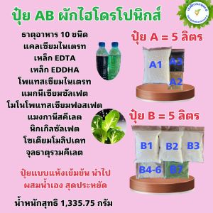 ปุ๋ย AB หัวเชื้อ 5 ลิตร แบบแห้งผสมเองสุดคุ้ม สูตรผักไฮโดรโปนิกส์ ทั้งน้ำวนและน้ำนิ่ง และพ่นทางใบพืชทุกชนิด