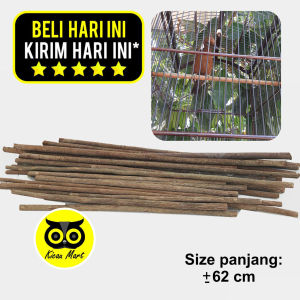 Kicau Mart Tangkringan Kayu Asem Jawa Ukuran Panjang D15 Pangkringan Kaki Untuk Sangkar Kandang Burung Murai Kotak Kacer Anis Branjangan Cucak Lovebird Dll Actapsr