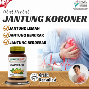 Obat Jantung Paling Ampuh Bengkak Nyeri dada Berdebar Kencang Jantung Koroner Lemah jantung Ampuh