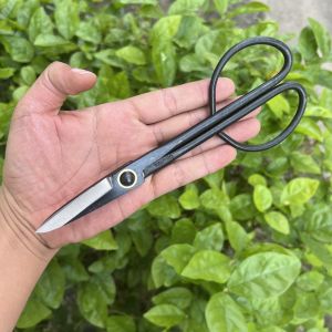 Kéo Tỉa Cây Bonsai Cây Cảnh Tỉa Lá Tỉa Nhánh. Làm Từ Thép Đúc Nguyên Khối. Dụng Cụ Bonsai Chuyên Nghiệp