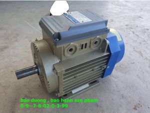 Mô tơ điện toàn phát công suất 3kw -2900v/p . trục 24mm