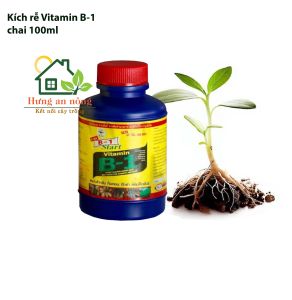 B-1 Thái Lan hiệu T-REX chuyên kích rễ phục hồi rễ yếu chai 100ml 500ml 1000ml