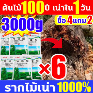 ต้นไม้ร้อยปี1วันรากเน่าเสีย ยาฆ่าตอต้นไม้ ยาฆ่าต้นไม้ เข้มข้นสุด ผงกำจัดต้นไม้ ฆ่าแรง ไม่ทำลายดิน ฉีดพ่นได้ ผงกำจัดกอไผ่ ยาฆ่าต้นไม้ใหญ กำจัดต้นไม้และไผ่ให้หมดจด กำจัดวัชพืช ป่าไผ่ ยากำจัดวัชพืช ยาฆ่าไม้ไผ่ ยากำจัดต้นไม้ใหญ่ ยาฆ่าตอไม้ใหญ่ ยาฆ่าต้นไม้ใหญ่