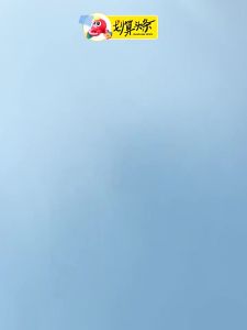 SG stock Fast Shipping PICKLEBALL SET 2 PICKLE BALL BATS 4 BALLS WITH CARRY BAG pickleball pickleball paddle 28659775063