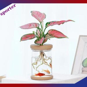 Sporter ขี้เกียจโปร่งใสกระถาง hydroponic ดูดซึมน้ำอัตโนมัติ