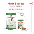 Royal Canin Mini Adult (8kg) Dry Dog Food - Size Health Nutrition. 