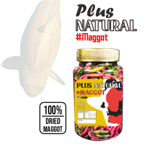 Makanan Pelet Pakan Ikan Koi Maggot BSF Plus Natural IKANESIA