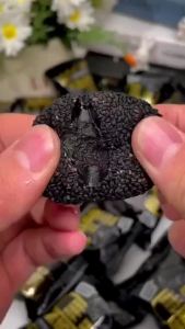 五黑麻薯无蔗糖五黑芝麻球软糯微甜 Five black sesame balls are soft waxy and slightly sweet without sucrose.