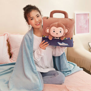 2 in 1 Two in One Multifunction Pillow Blanket Cartoon Air Conditioning Quilt Cushion Pillow Blankets for Winter