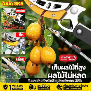 ส่งจากรุงเทพ24ชั่วโมง กรรไกรตัดผลไม้ 4เมตร ใช้สำหรับตัดกิ่งไม้สูง จับผลไม้กรรไกรตัดกิ่ง ตัดกิ่งไม้เร็ว อุปกรณ์ตัดแต่งกิ่งมืออาชีพ กรรไกรตัดกิ่งไม้ด้ามยาว กรรไกรตัดกิ่งไม้สูง กรรไกรตัดกิ่ง กรรไกรตัดกิ่งยาว กรรไกรตัดกิ่งด้ามยาว กรรไกรตัดกิ่งไม้