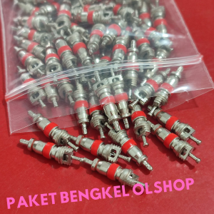 1 PAK Isi Pentil Spuyer / Isian Pentil