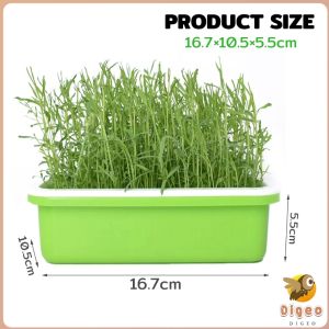 Digeo Double Layer Hydroponic Seed Germination Tray - Soilless Seedling Tray for Peanut Bean & Sprout 1Set