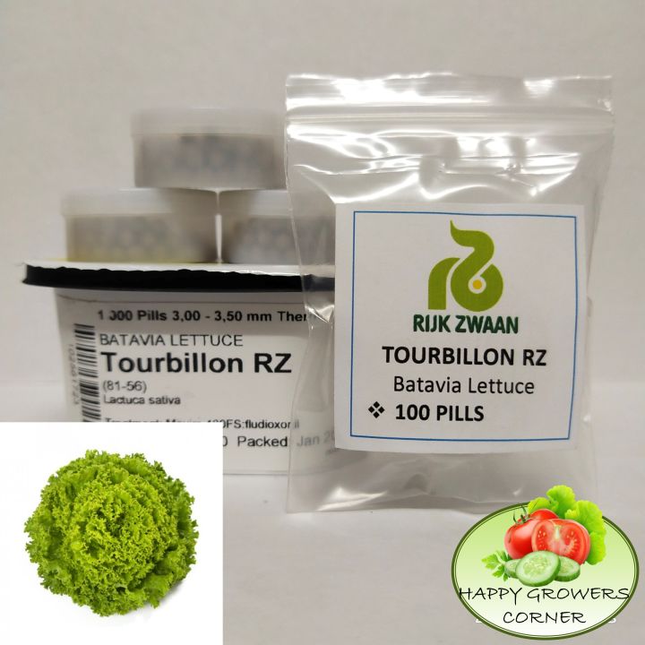 Tourbillon Rz Batavia Lettuce By Rijk Zwaan 50 100 And 200 Pelleted Seeds Repacked Lazada Ph 1406