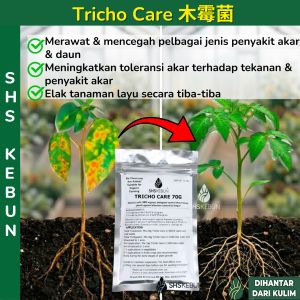 Tricho Care Trichoderma Racun Kulat 木霉菌 Fungicide Trichoderma Powder Racun Kulat Tanaman SHS Kebun