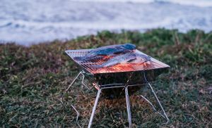 Tani Camping Portable Stainless BBQ Grill