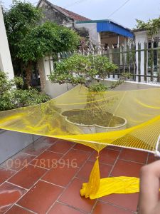 Vó bắt cá mắt mau kênh rạch khe suối cạnh 2mx2m