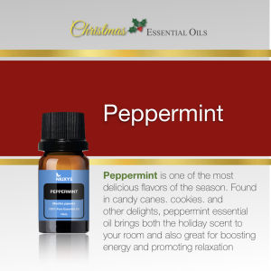 Christmas Essential Oils Customized Gift Set